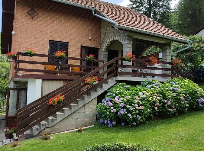 Apartman Jovanovic-Rudnik