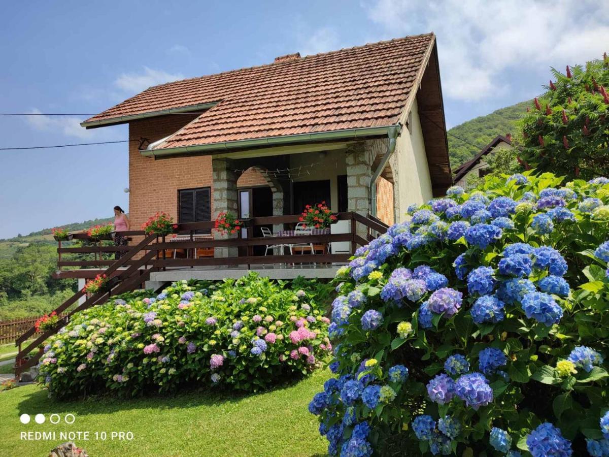 Apartment Jovanovic-rudnik *