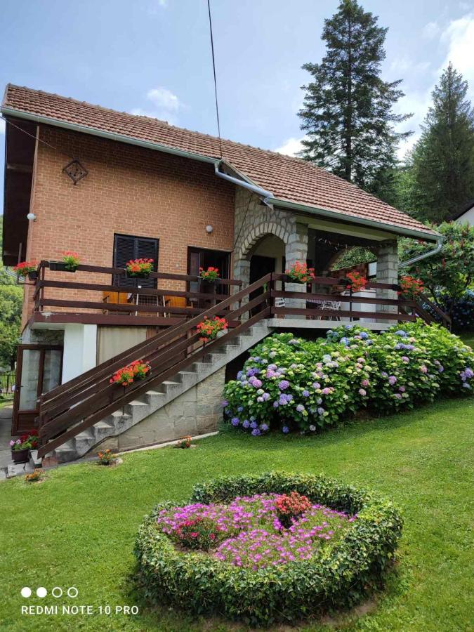 Jovanovic-rudnik Apartment *