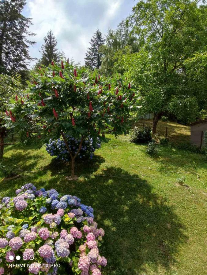 Apartment Jovanovic-rudnik *