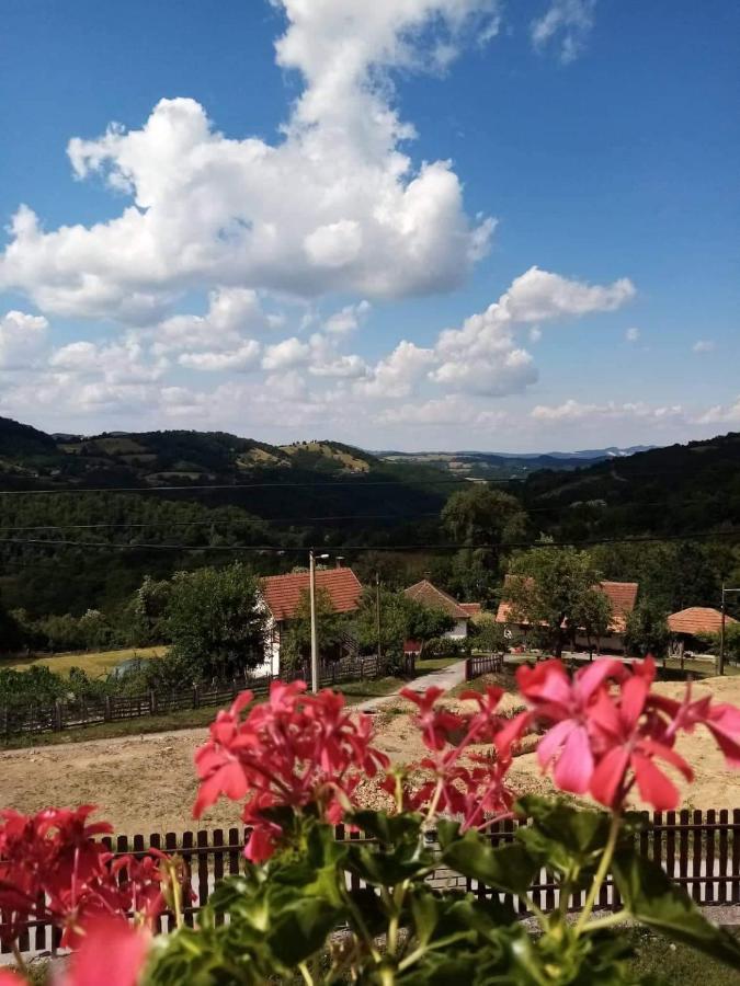 Apartment Jovanovic-rudnik Rudnik